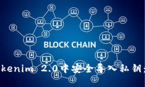 如何在Tokenim 2.0中安全导入私钥：完整指南