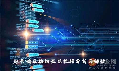 赵长鹏区块链最新视频分析与解读