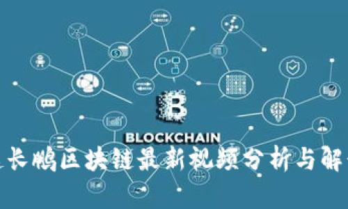 赵长鹏区块链最新视频分析与解读