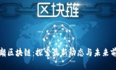 麒麟区块链：探索最新动态与未来前景