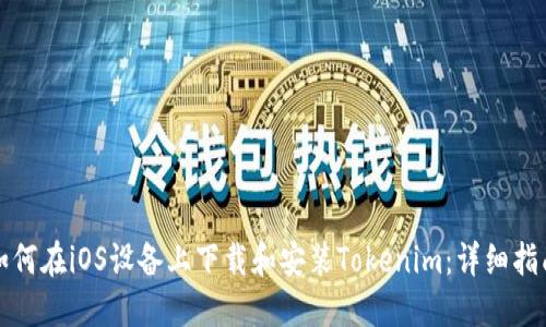 如何在iOS设备上下载和安装Tokenim：详细指南