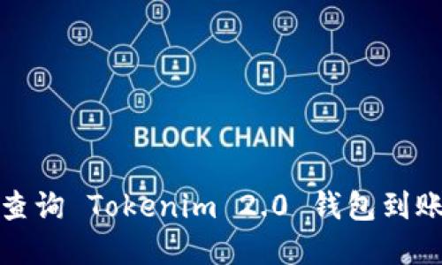 如何查询 Tokenim 2.0 钱包到账情况