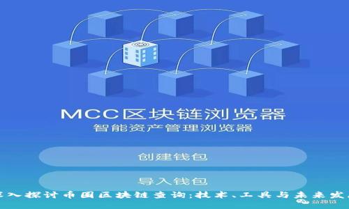 深入探讨币圈区块链查询：技术、工具与未来发展