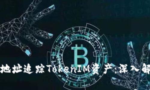 如何通过钱包地址追踪TokenIM资产：深入解析与实用指南