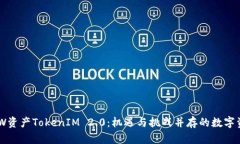 深入解析DEW资产TokenIM 2.0：机遇与挑战并存的数字