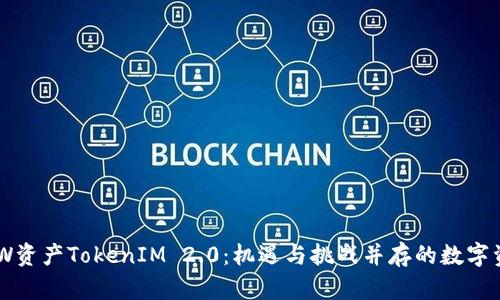 深入解析DEW资产TokenIM 2.0：机遇与挑战并存的数字资产管理未来