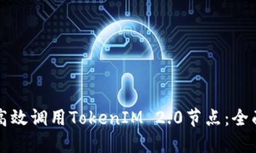 如何高效调用TokenIM 2.0节点：全面指南