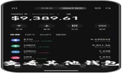 如何使用Tokenim查看其他钱包的信息和交易记录