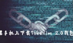 如何在苹果手机上下载Tokenim 2.0钱包：详细指南
