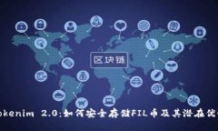 Tokenim 2.0：如何安全存储FIL币及其潜在优势