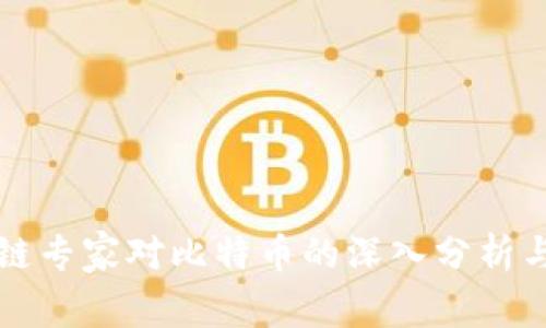 区块链专家对比特币的深入分析与评价