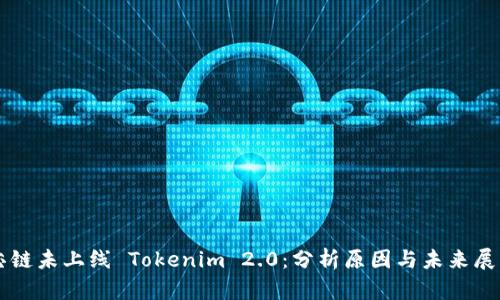 芯链未上线 Tokenim 2.0：分析原因与未来展望