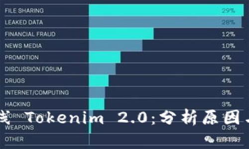 芯链未上线 Tokenim 2.0：分析原因与未来展望