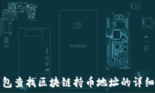 TP钱包查找区块链持币地址的详细指南