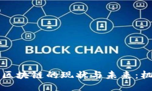 成都币圈区块链的现状与未来：机会与挑战