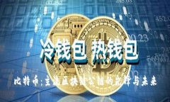 比特币：主流区块链公链的先锋与未来