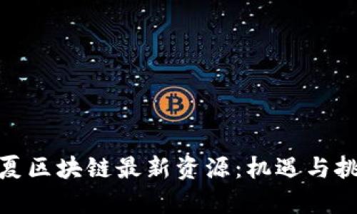 探索宁夏区块链最新资源：机遇与挑战并存