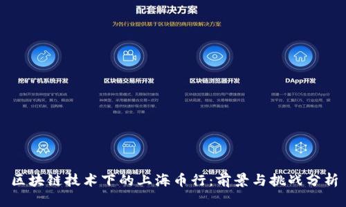 区块链技术下的上海币行：前景与挑战分析