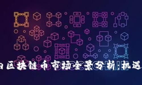 2023年国内区块链币市场全景分析：机遇与挑战并存