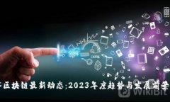 硅谷区块链最新动态：2023年度趋势与发展前景分