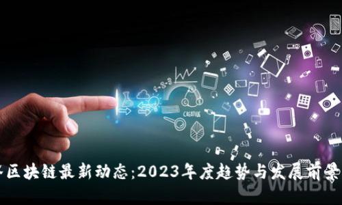 硅谷区块链最新动态：2023年度趋势与发展前景分析