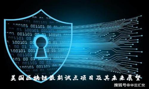 美国区块链最新试点项目及其未来展望