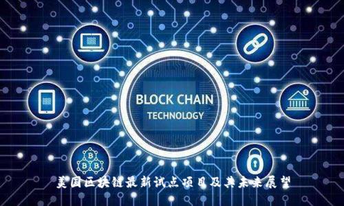 美国区块链最新试点项目及其未来展望