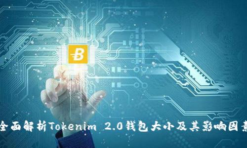 全面解析Tokenim 2.0钱包大小及其影响因素