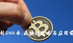 全面解析SNK币：区块链技术与应用前景分析