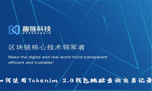 如何使用Tokenim 2.0钱包地址查询交易记录？