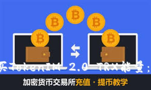  如何购买TokenIM 2.0 TRX能量：完整指南