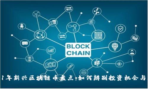 2021年新兴区块链币盘点：如何辨别投资机会与风险