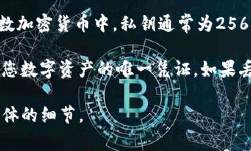 Tokenim的私钥长度并不确定，因为它通常取决于加密算法和具体的实现。不过，在大多数加密货币中，私钥通常为256位长，用十六进制表示时，通常是64个字符，或者在Base58编码中显示为更长的字符串。

请注意，无论私钥的具体表示形式如何，保护好私钥是非常重要的，因为它是访问和控制您数字资产的唯一凭证。如果丢失或泄露，您的资产可能会被盗或无法恢复。

如有具体Tokenim或相关钱包的私钥规格需求，请参考官方网站或相关文档以获得更具体的细节。