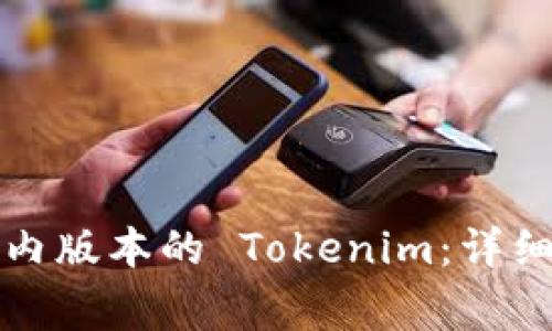 如何安全下载国内版本的 Tokenim：详细指南与注意事项