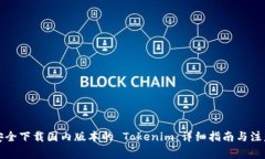 如何安全下载国内版本的 Tokenim：详细指南与注意