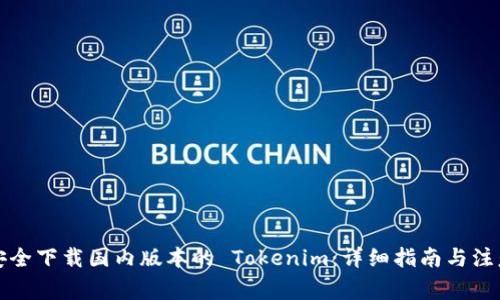 如何安全下载国内版本的 Tokenim：详细指南与注意事项
